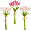 15 Inch Tulip Bundle