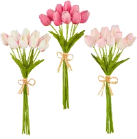 15 Inch Tulip Bundle