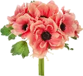 11.5 Coral Anemone Bundle