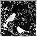 Bird Silo Expression Canvas