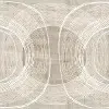 Organic Circle II Canvas Wall Art