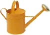 Farmhouse Charm Orange Watering Can