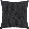 Cecelia Black Accent Pillow