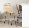 13167 Balka Rattan Counter Height Stool, Set of 2 - South Shore