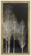 In The Shadows II Framed Wall Art