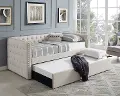 Trina Ivory Twin Daybed with Trundle