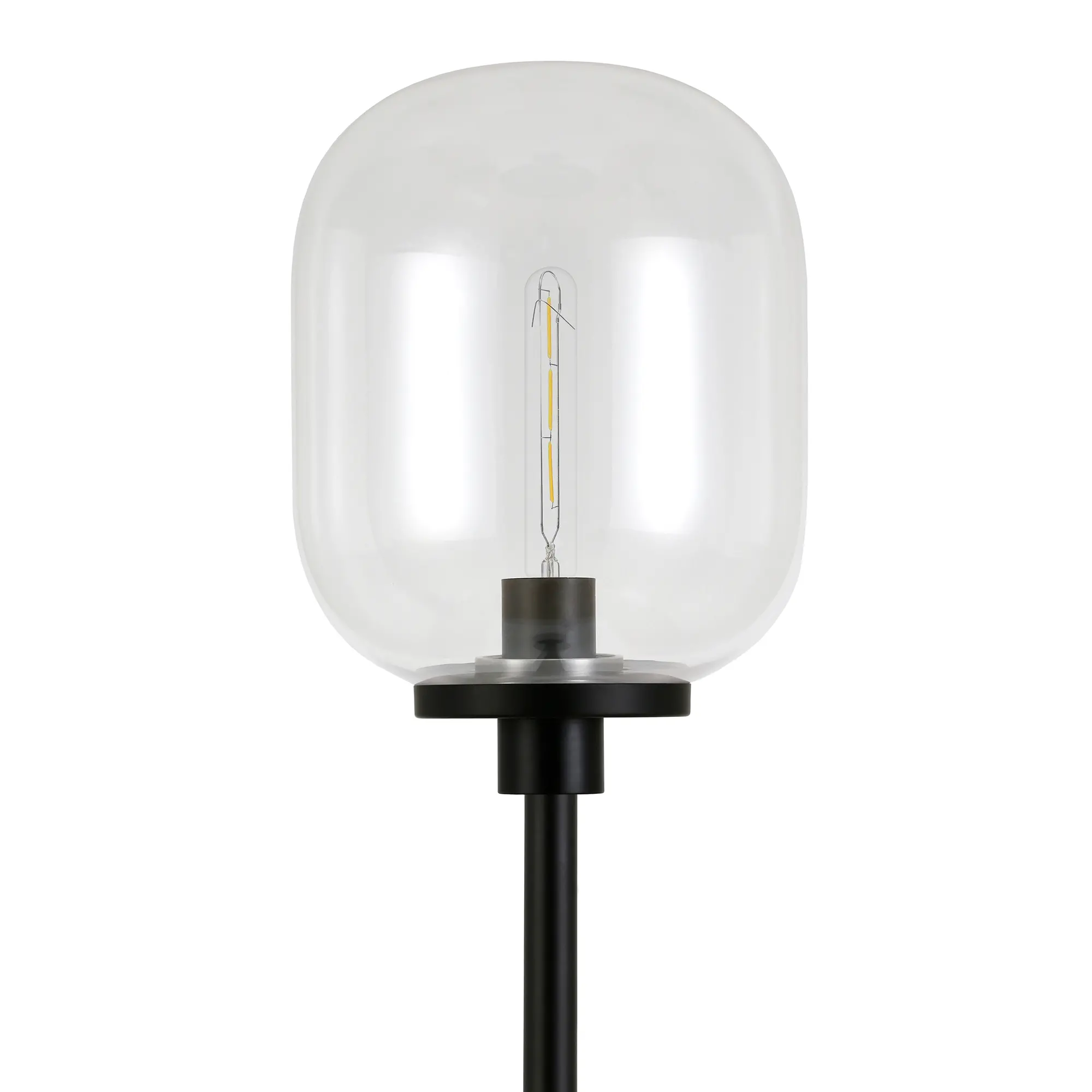 Agnolo Modern Blackened Bronze Floor Lamp with Clear Glass Shade-8