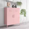 Cache Contemporary Bashful Pink 2-Door Metal Locker