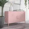 Cache Contemporary Bashful Pink 2-Door Metal Locker