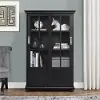 Aaron Lane Black Bookcase with Sliding Glass Doors