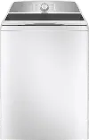 PTW600BSRWS GE Profile Top Load Washer - White PT600BSRW