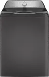 PTW600BPRDG GE Profile Top Load Washer - Diamond Gray PT600BPR