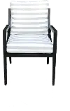 Claudine Black Dining Chair with Cushion