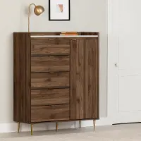 13528 Hype Brown Door Chest with 5 Drawers