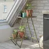 Wallflower Olive Green Plant Stand