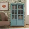 Aaron Lane Light Blue Bookcase with Sliding Glass Doors