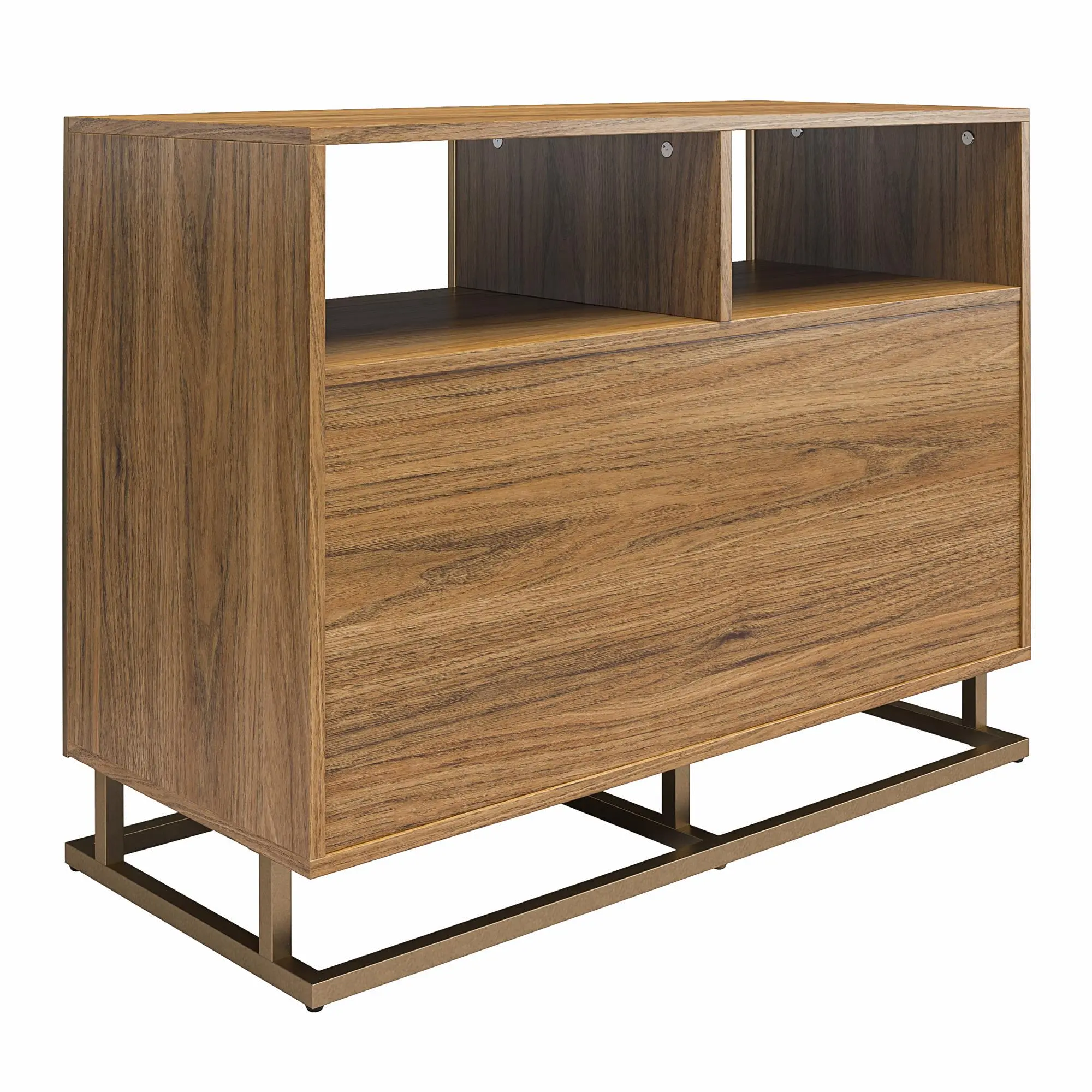 Regal Brown Double Wide Record Station-5