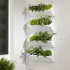 13801 Dalya White Wall Planters, Set of 4