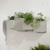 14243 Dalya Greige Wall Planters, Set of 2 - South Shore