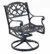 6654-53 Sanibel Black Outdoor Swivel Rocking