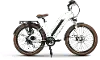 METRO(X) LS Magnum Metro X Mid Step Electric Bike - White