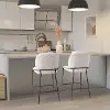 Blakeley Gray Counter Height Barstool