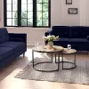 Fort Worth Light Brown Nesting Coffee Table