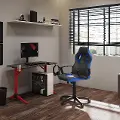 Mad Dog Black and Blue Gaming Chair