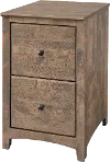 Archbold Driftwood 2 Drawer File