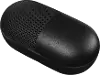 IAEBTS410B Truly Wireless Earbuds with Charging Case and Speaker