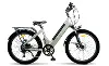 Magnum Cosmo S 48V Champagne Electric Bike