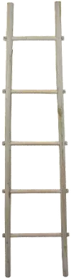 72 Inch Gray Decorative Ladder