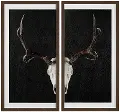 Deer Skull Framed Art