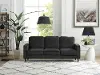 Dannyiel Modern Black Sofa