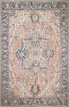 I166-RU-4X6-NH209 Zenainda Distressed Rust 4 x 6 Area Rug
