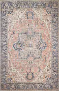 I166-RU-8X10-NH209 Zenainda Distressed Rust 8 x 10 Area Rug
