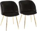CH-FRAN AU+BK2 Fran Gold & Black Velvet Glam Dining Chairs, Set of 2