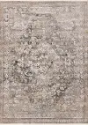 Evora Grey and Beige 5 x 8 Traditional Area Rug