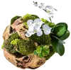 Faux Teak Root Ball Arrangement with Orchid