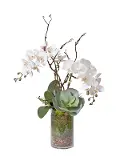 33 White Orchids in Glass Vase