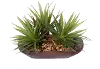 Faux Succulents in Wood Bowl