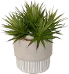 Faux Spikey Succulent in Stone Pot