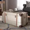154-9188-RCW Bechet Industrial Silver Metal Storage Trunk