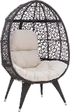 Ida Indoor/Outdoor Brown Wicker Egg Chair