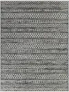 Cohen 5 x 7 Charcoal Transitional Outdoor Patio Rug