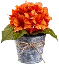 8 Inch Hydrangea In Tin Pot