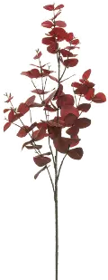 37 Red Eucalyptus Spray