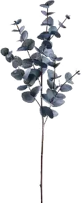 34 Black and Gray Eucalyptus Spray