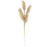42 Inch Beige Grass Stem