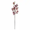 32 Inch Crab Apple Stem